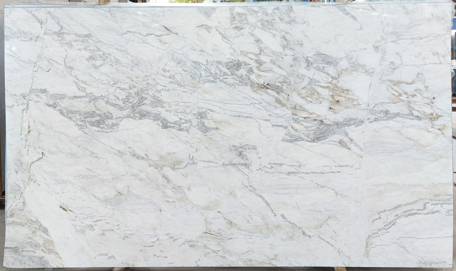 Matarazzo Dolomite Marble